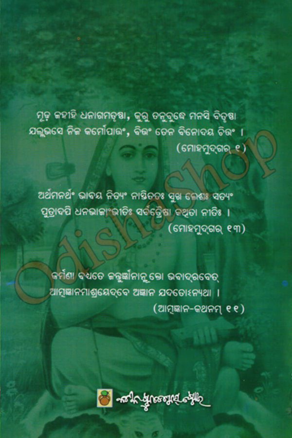 Jagadguru Shankaracharya9