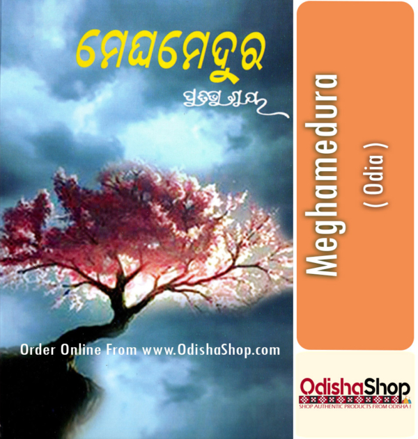 Odia Book Meghamedura By Pratibha Ray From Odisha Shop.