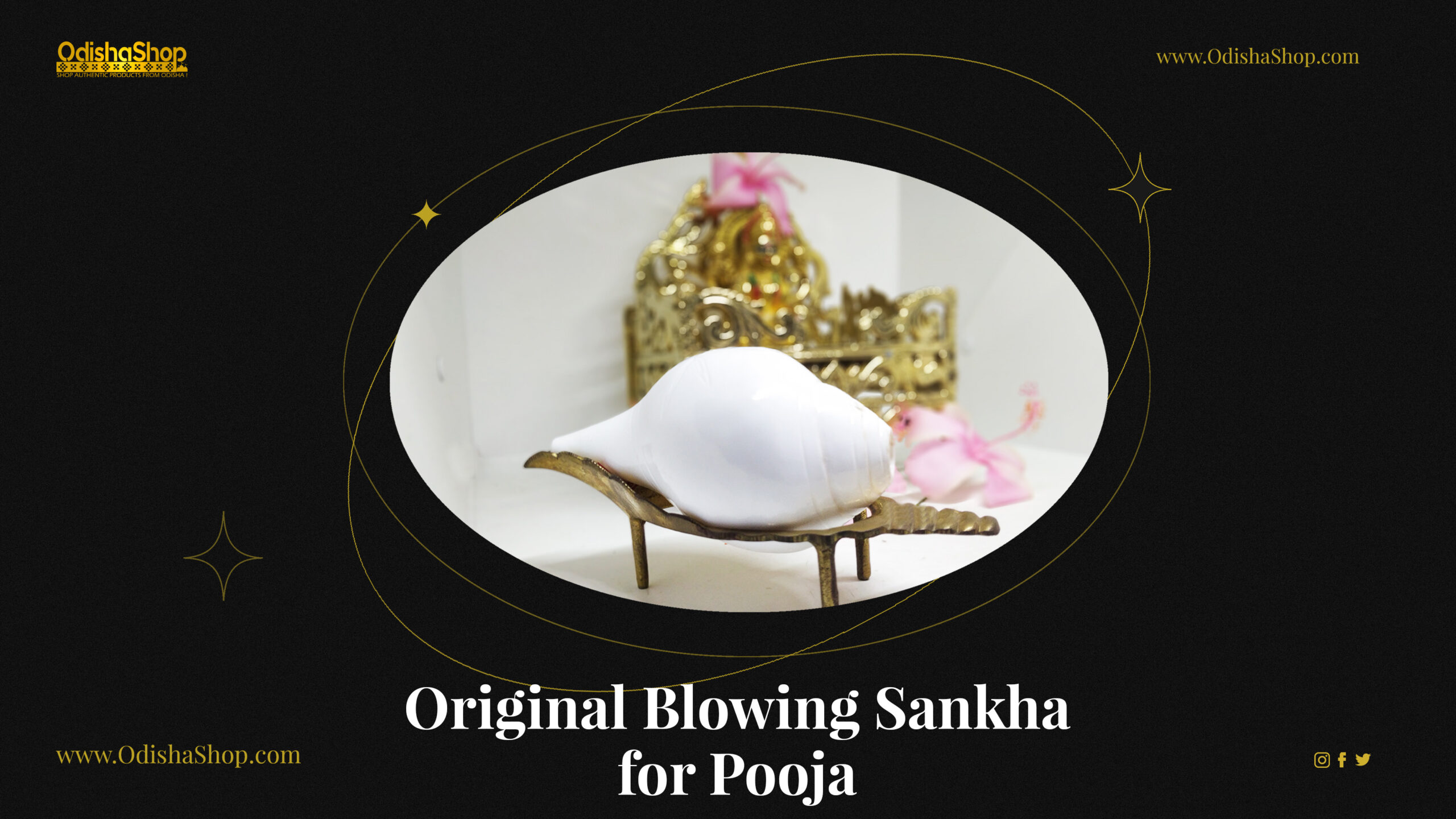 Original Blowing Sankha